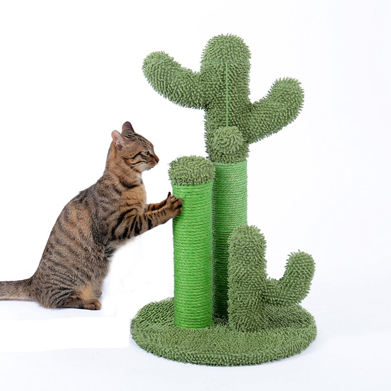 Arbre Ă  Chat Design Cactus Vert Ludique