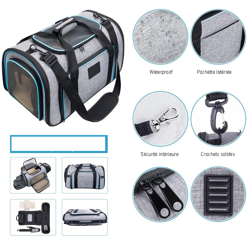 Description du média