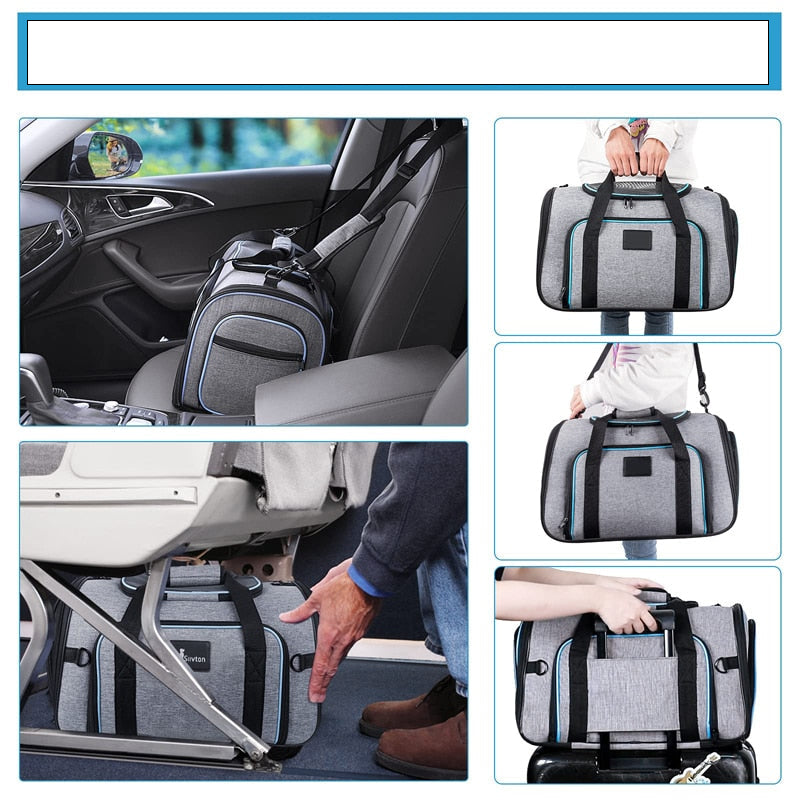 Description du média