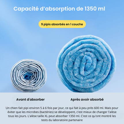 Alèse Absorbante pour Chat avec Design Confortable et Pratique