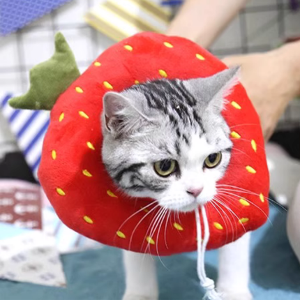 Collerette Fraise Ludique et Fantaisiste pour Chat