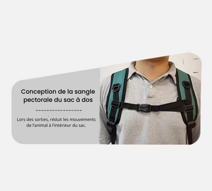 Sac à Dos Respirant pour Transport de Chat – Design Pliable et Moderne