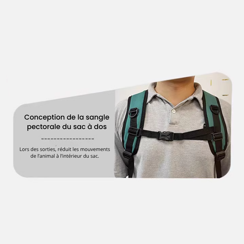 Description du média