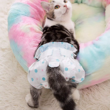 Couches pour Chat Motif Coloré | Confort et Protection