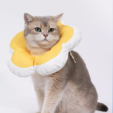 Collerette Fleur Jaune et Blanche pour Animaux – Fantaisie Ludique