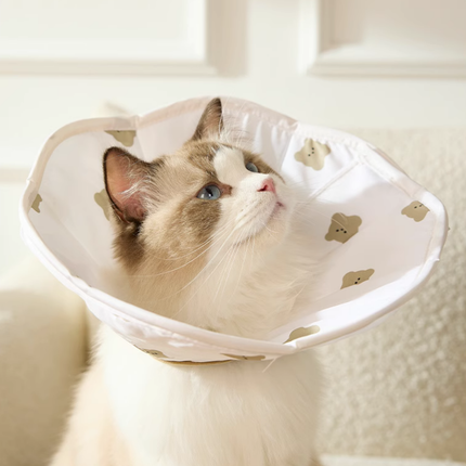 Collerette pour Chat Motif Animalier – Protection avec Touche Ludique