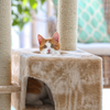 Comment faire pour stabiliser un arbre à chat