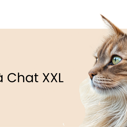 Collection image for: Arbre à Chat XXL & Maine Coon
