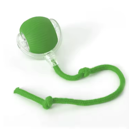 Collection image for: Jouets interactifs chat