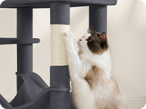 Arbre à Chat Gris avec Hamac et Niche Double