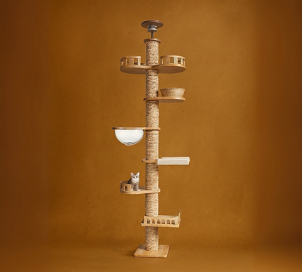 Colonne interactive pour chats avec plateformes design et bulle d'observation