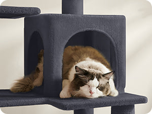 Arbre à Chat Gris avec Hamac et Niche Double