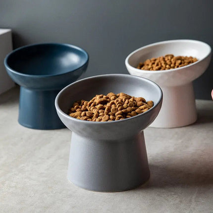 Bols surélevés inclinés pour animaux - Design épuré