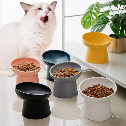 Bols surélevés inclinés pour animaux - Design épuré