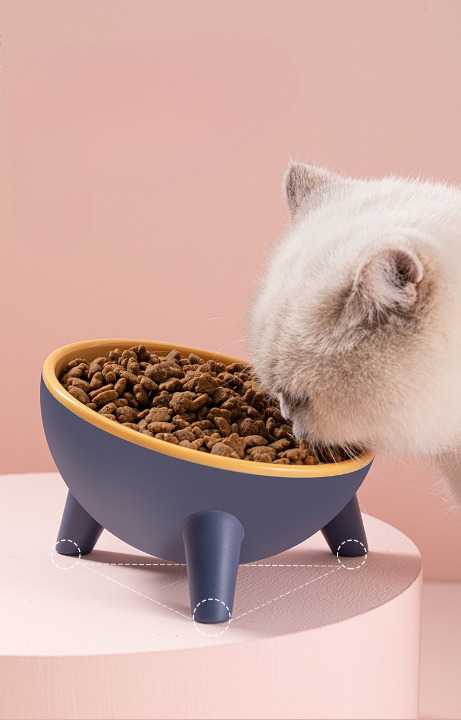 Gamelle surĂ©levĂ©e moderne pour chat - Bleu et Jaune