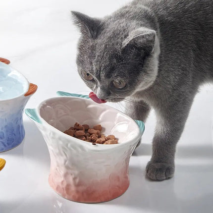Bol surélevé pour chat – Design ergonomique et coloré
