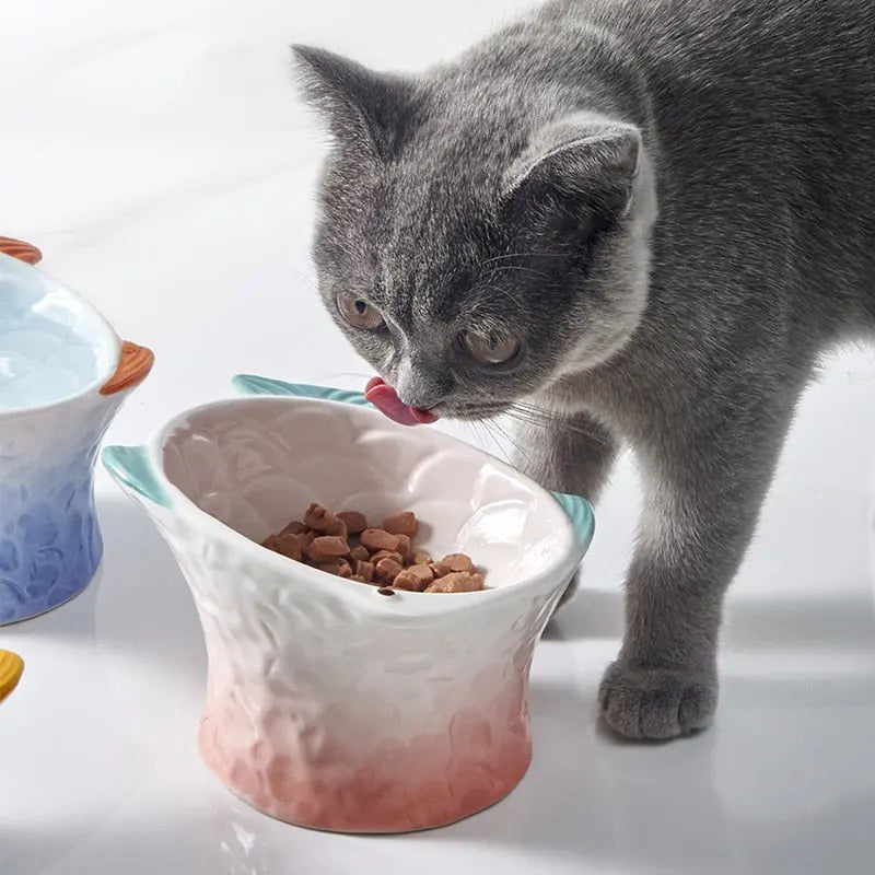 Bol surélevé pour chat – Design ergonomique et coloré