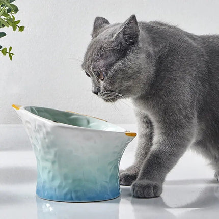 Bol surélevé pour chat – Design ergonomique et coloré