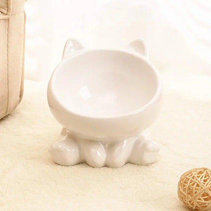 Bol Incliné pour Chat - Interaction Naturelle et Facile