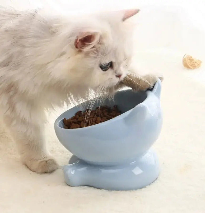 Bol Incliné pour Chat - Interaction Naturelle et Facile