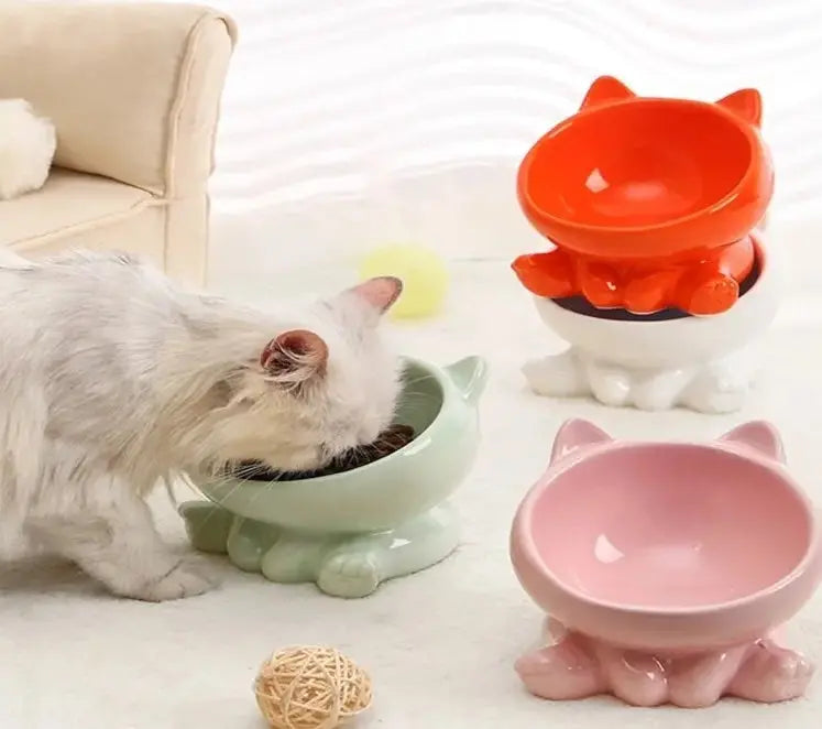 Bol Incliné pour Chat - Interaction Naturelle et Facile