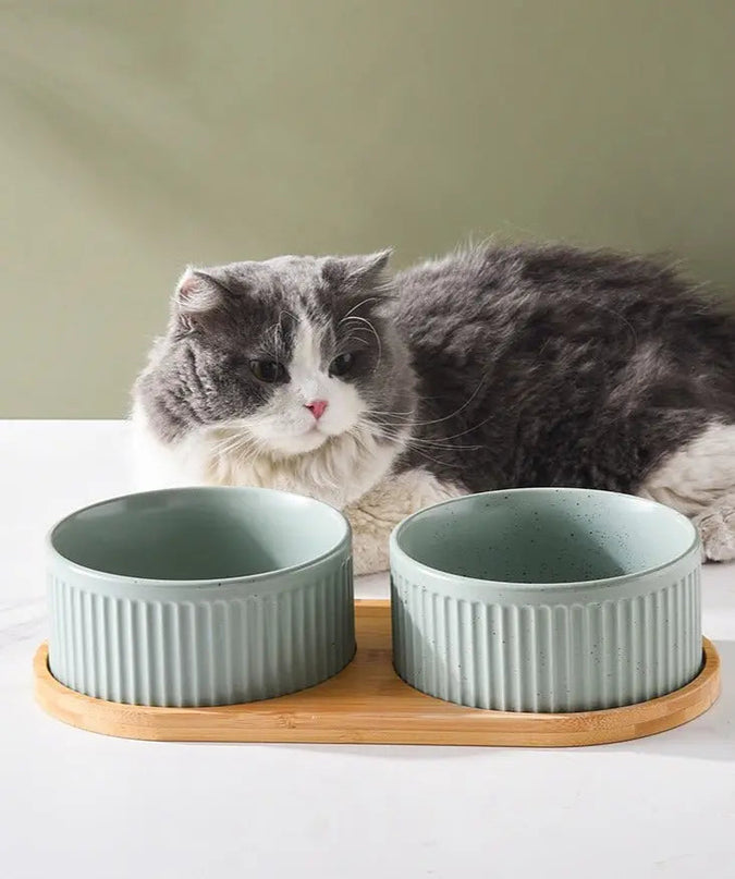 Bols CĂ©ramique Vert Pastel avec Support Bambou - Double Usage