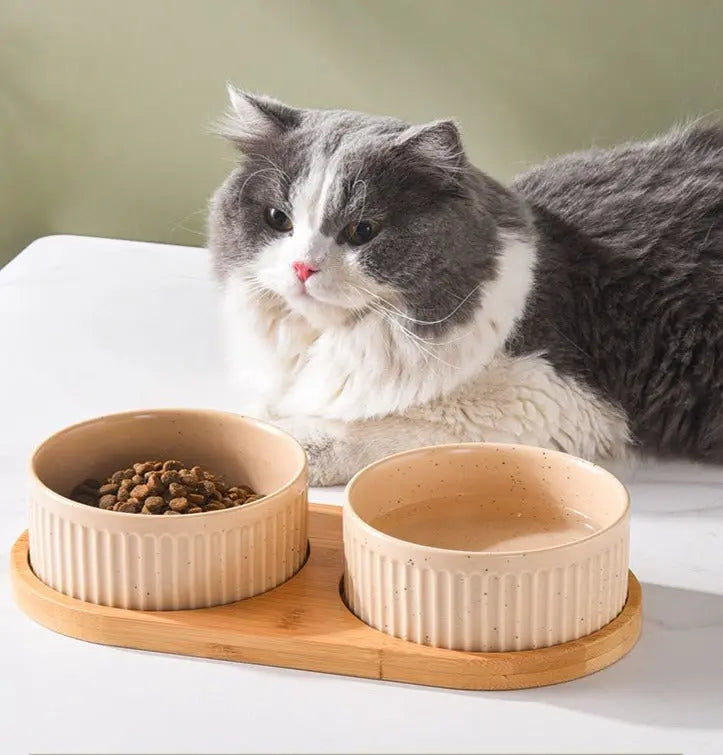 Bols CĂ©ramique Vert Pastel avec Support Bambou - Double Usage