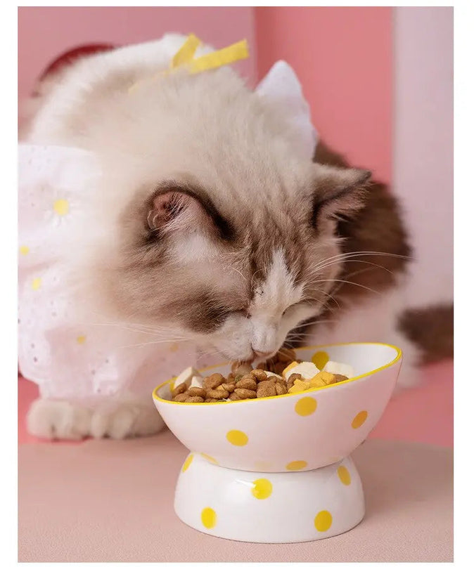 Bol surĂ©levĂ© Ă  pois jaunes pour chat | Design pastel et ludique