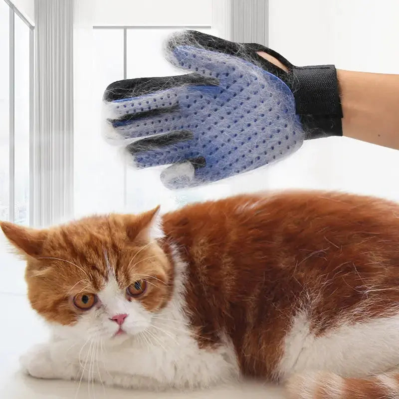 Gant de Toilettage Équipé de Picots pour Poils d'Animaux