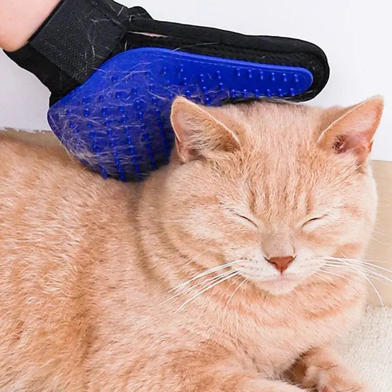 Gant de Toilettage Équipé de Picots pour Poils d'Animaux