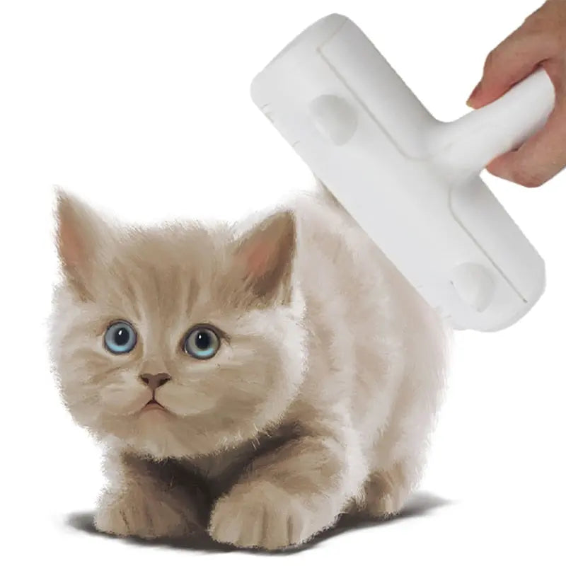 Chaton Illustré Beige avec Outil Blanc Minimaliste