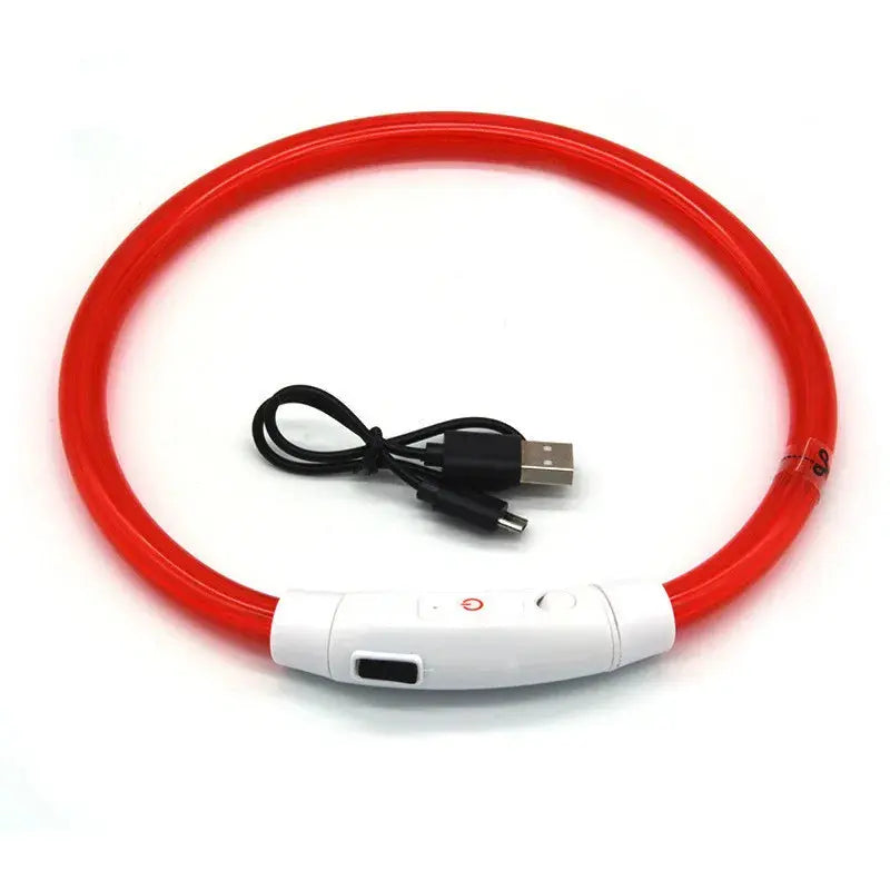 Collier Lumineux Rechargeable USB pour Visibilité Nocturne