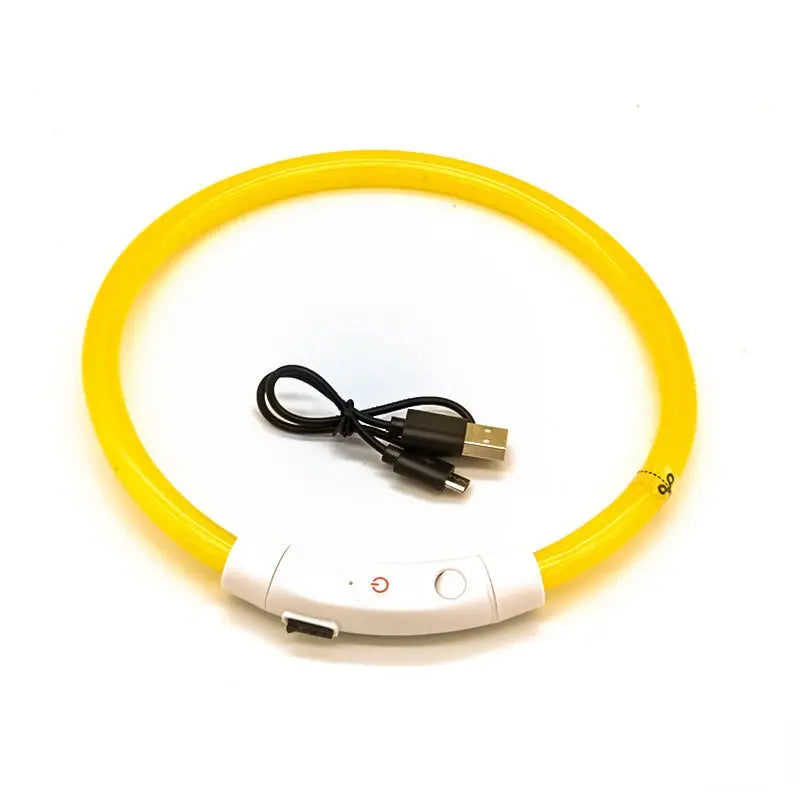 Collier Lumineux Rechargeable USB pour Visibilité Nocturne