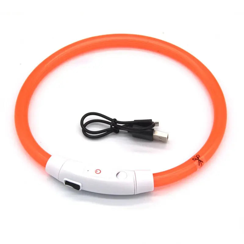 Collier Lumineux Rechargeable USB pour Visibilité Nocturne