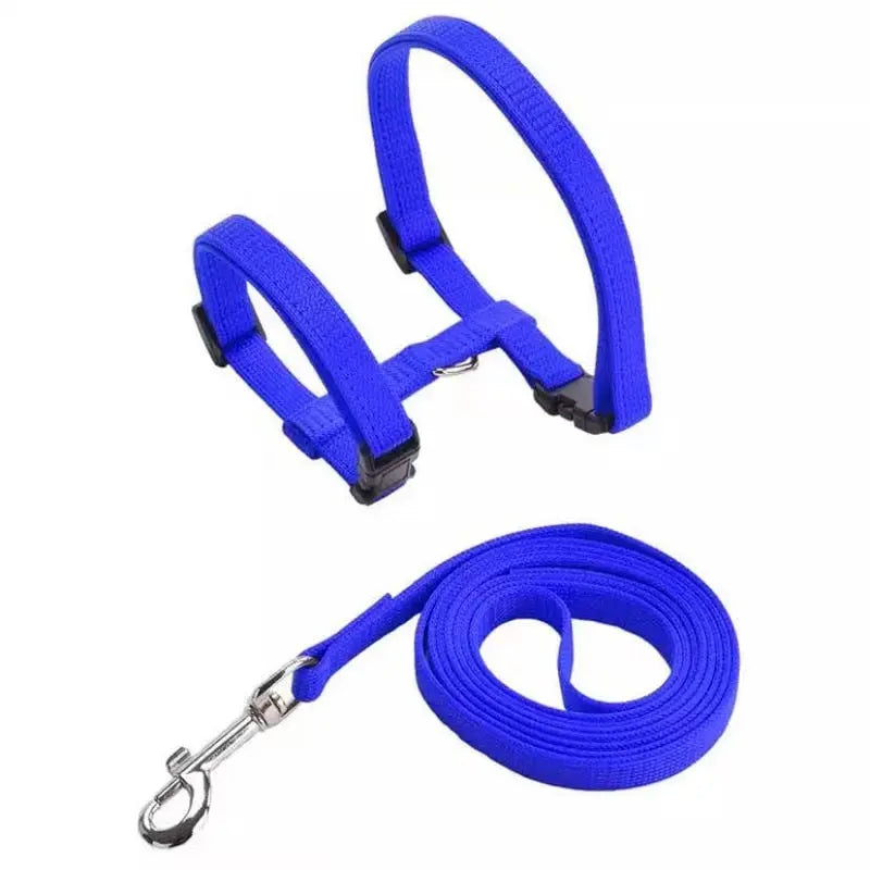 Harnais Ajustable Bleu avec Laisse pour Chat