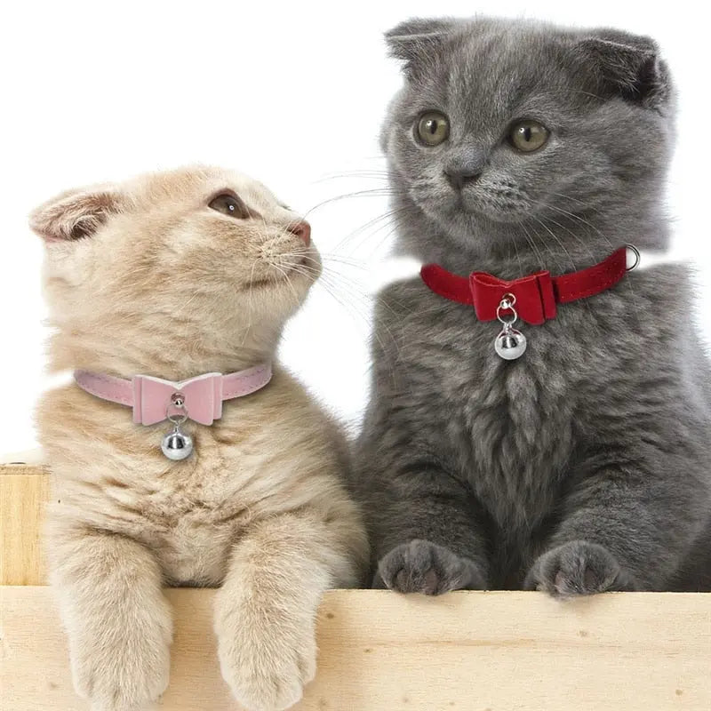 Colliers pour Chats avec Nœud Papillon et Grelot – Rose et Rouge