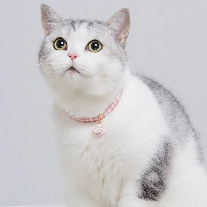 Collier Pastel Vichy Rose avec Pendentif Patte Doré