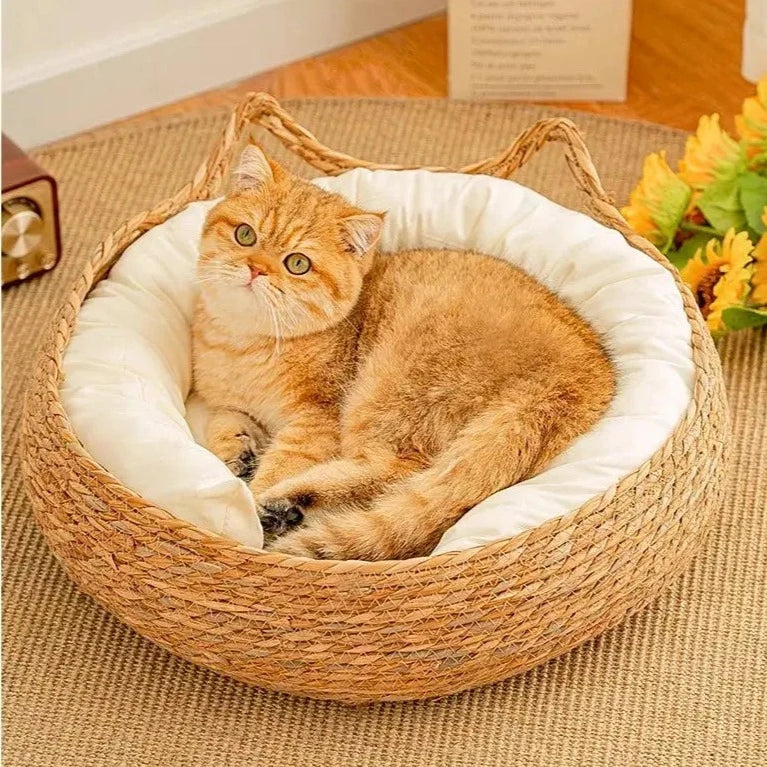 Panier Douillet Rond avec Coussin Moelleux – Décoration Naturelle et Confort pour Chat