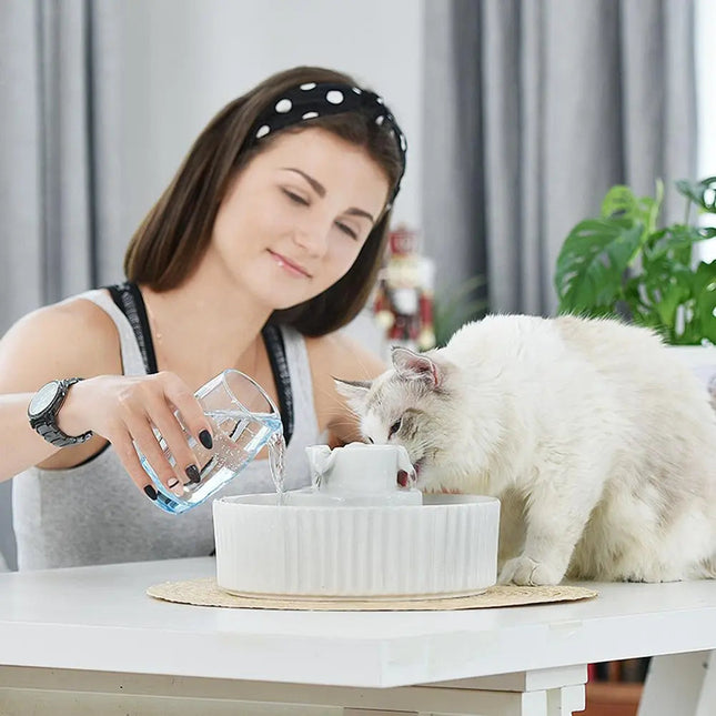 Fontaine pour Chat au Design Moderne avec Cascade Apaisante