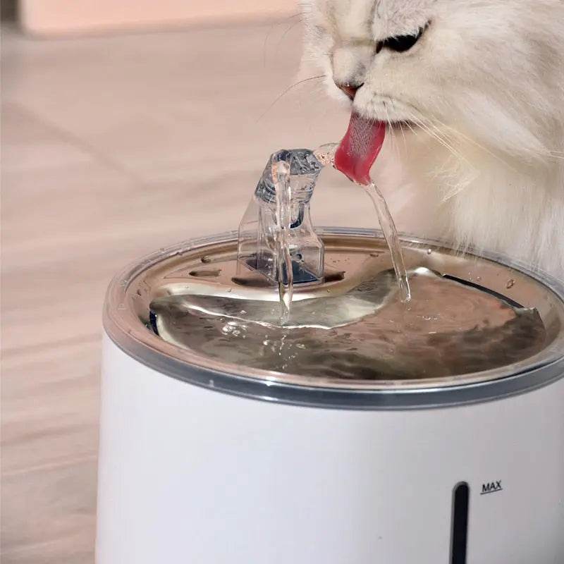 Fontaine Minimaliste pour Hydratation Animale | Cascade Continue