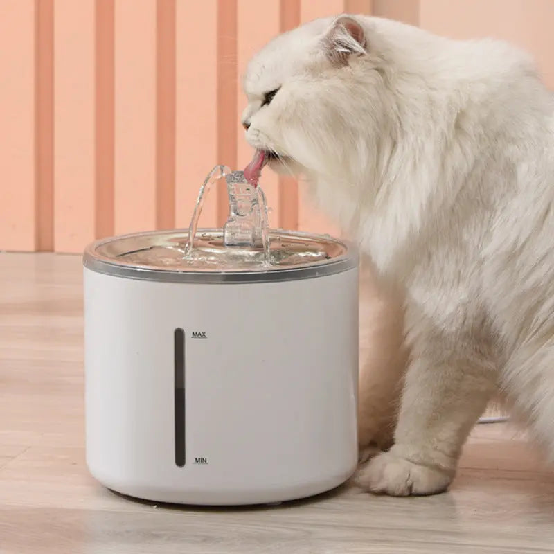 Fontaine Minimaliste pour Hydratation Animale | Cascade Continue