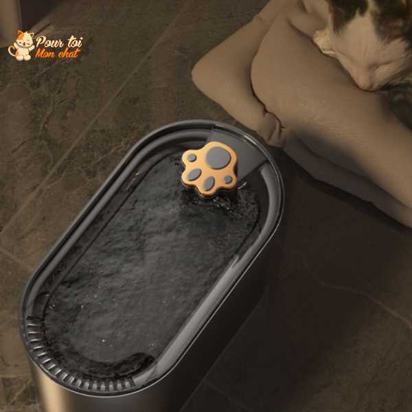 Fontaine moderne pour chat avec design épuré et détails cuivrés
