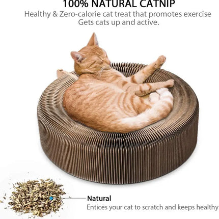 Cocon Reversible Douillet pour Chat – Surface à Griffer Intégrée