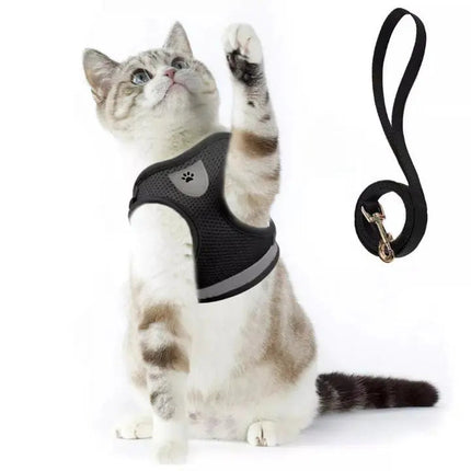 Harnais Noir pour Chat avec Laisse Reflective