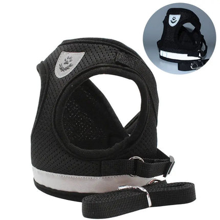 Harnais Noir pour Chat - Parfait pour les Promenades en Plein Air