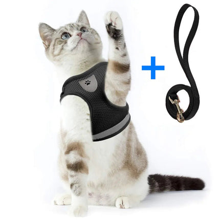 Harnais Noir pour Chat - Parfait pour les Promenades en Plein Air