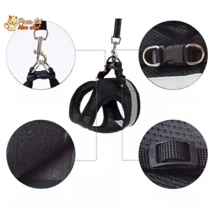 Harnais Noir pour Chat - Parfait pour les Promenades en Plein Air