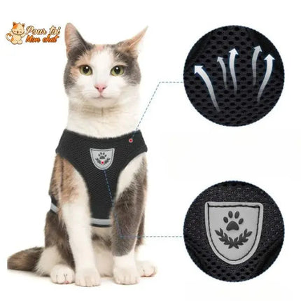 Harnais Noir pour Chat - Parfait pour les Promenades en Plein Air