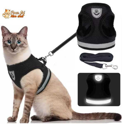 Harnais Noir pour Chat - Parfait pour les Promenades en Plein Air