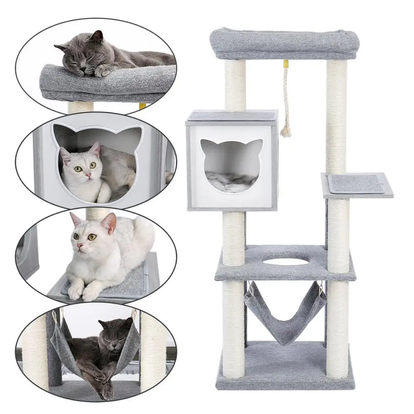 Arbre à chat moderne avec hamac et cabine